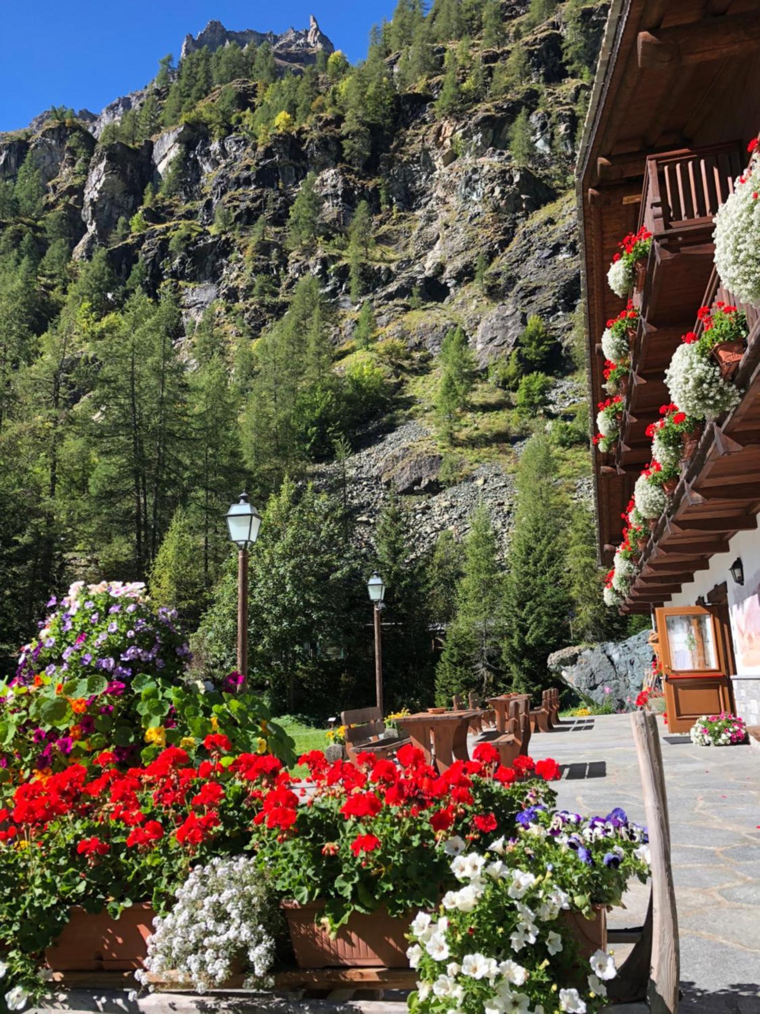 Residence Oberteil Gressoney-La-Trinite Exterior photo